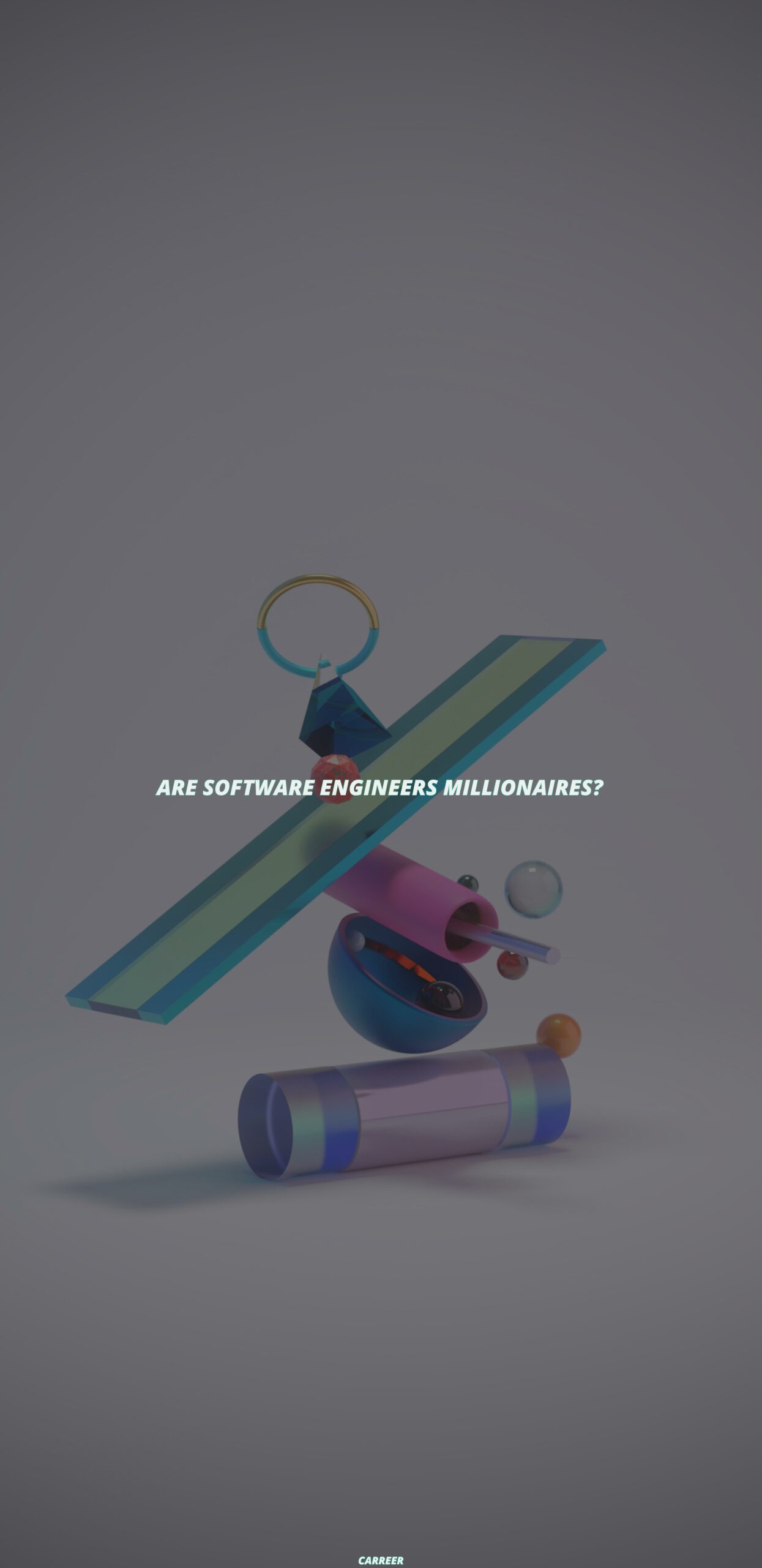 Are software engineers millionaires?