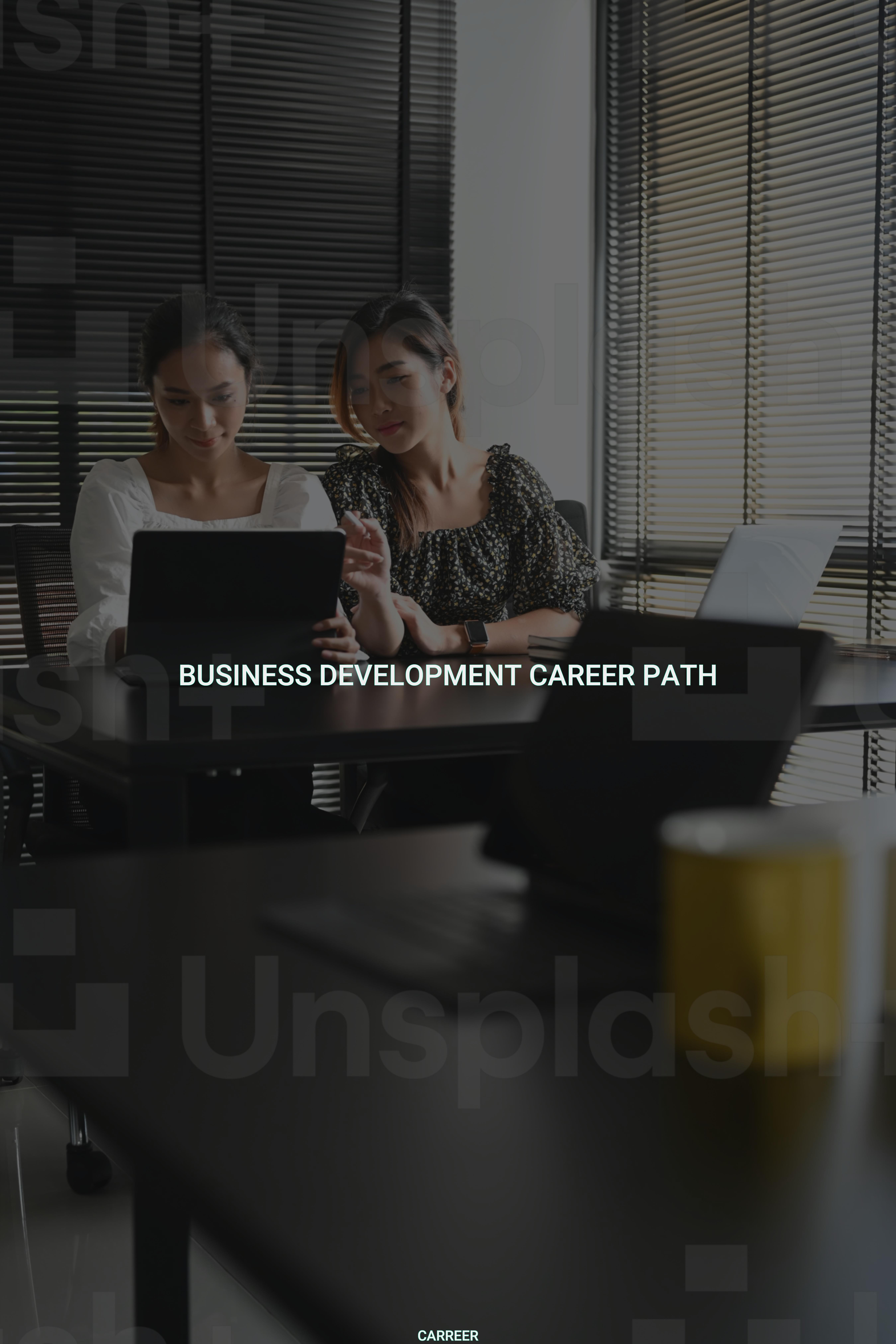 Business development career path