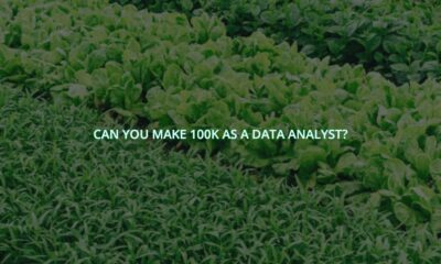 Can you make 100k as a data analyst?