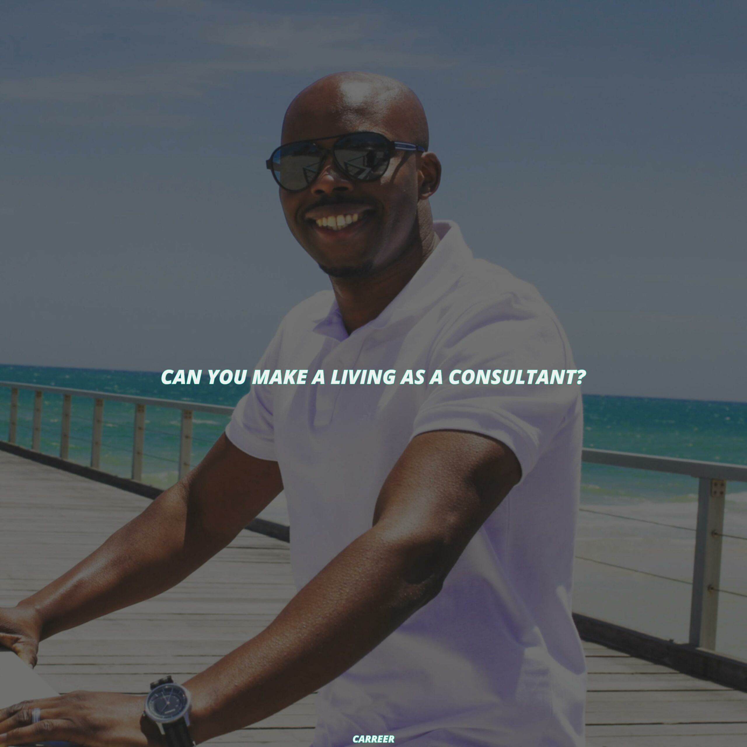 Can you make a living as a consultant?