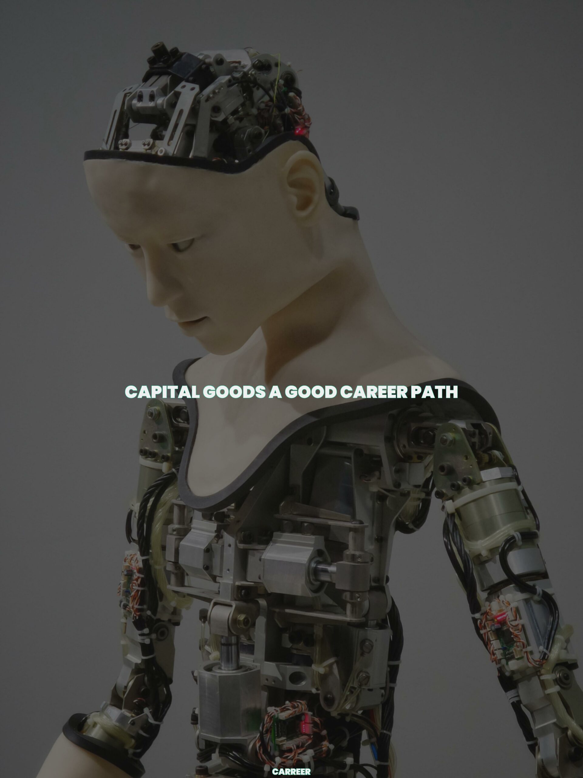 Capital goods a good career path