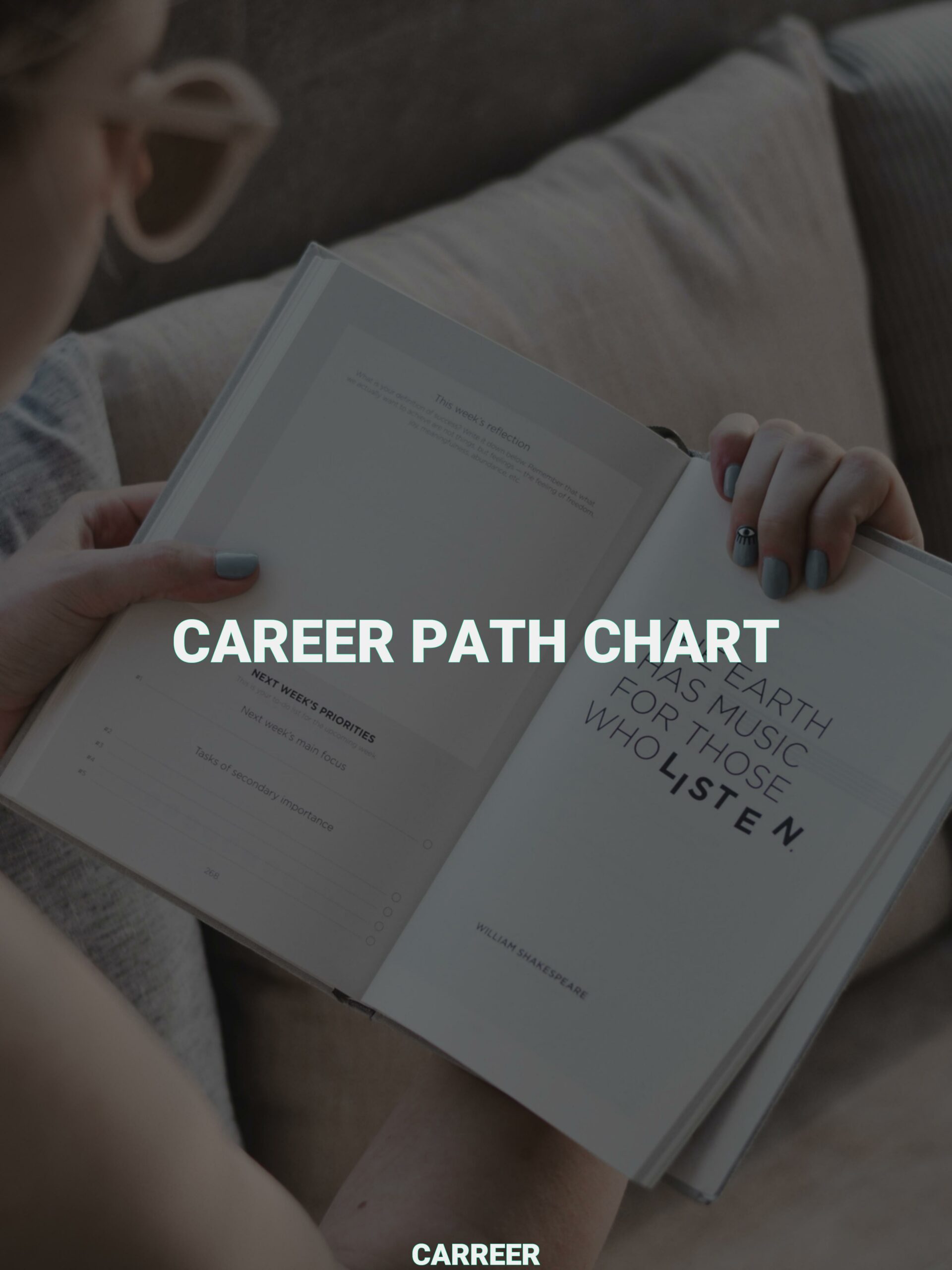 Career path chart