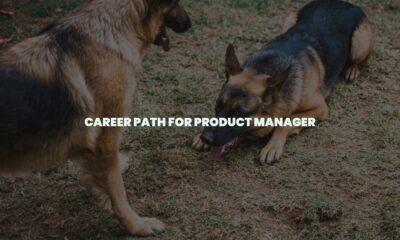 Career path for product manager