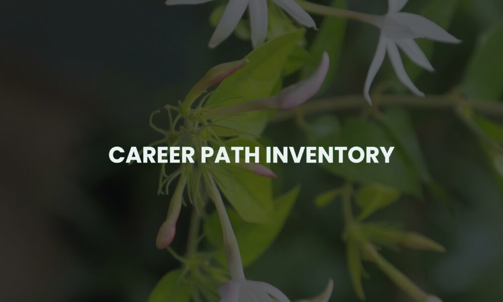 Career path inventory