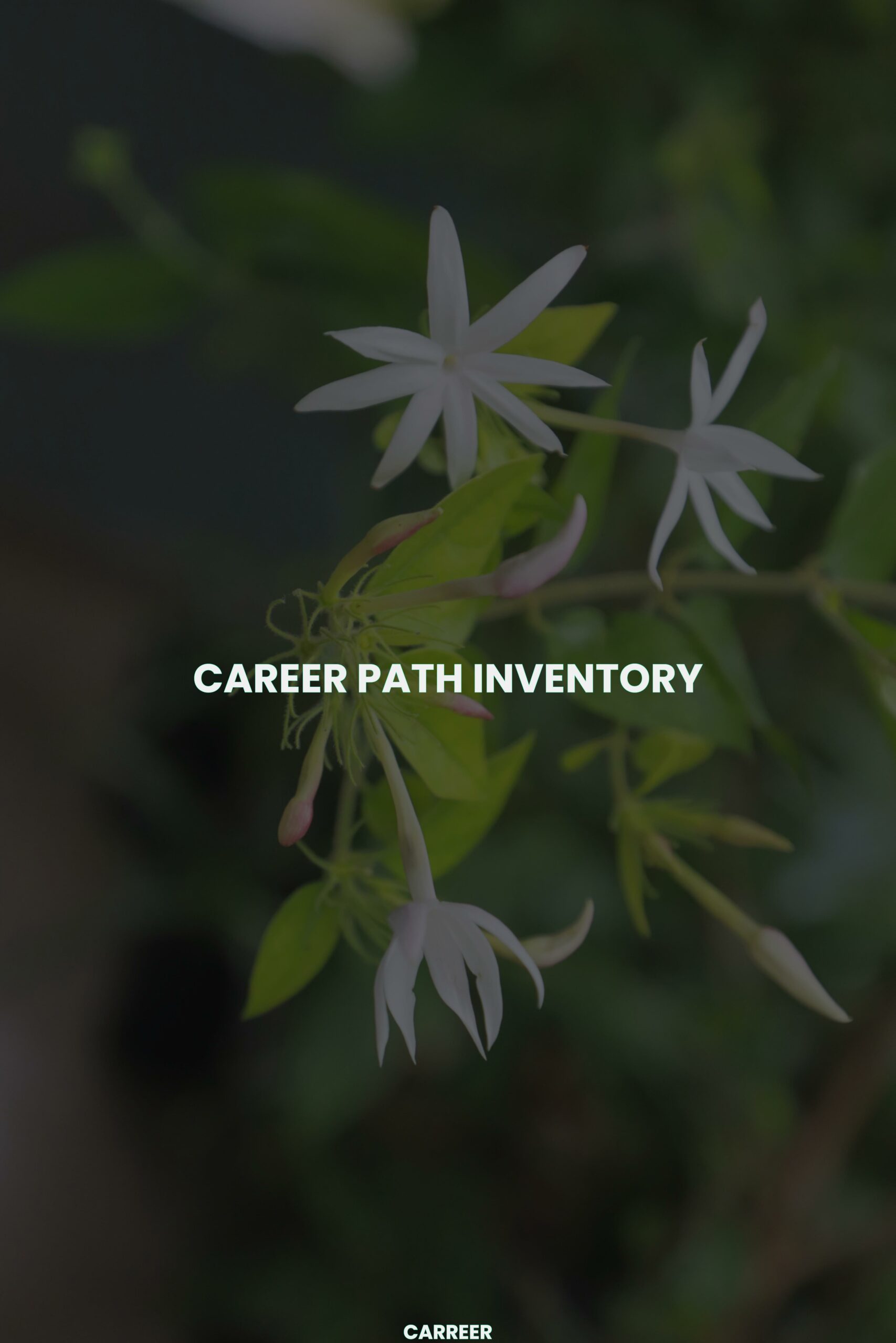 Career path inventory
