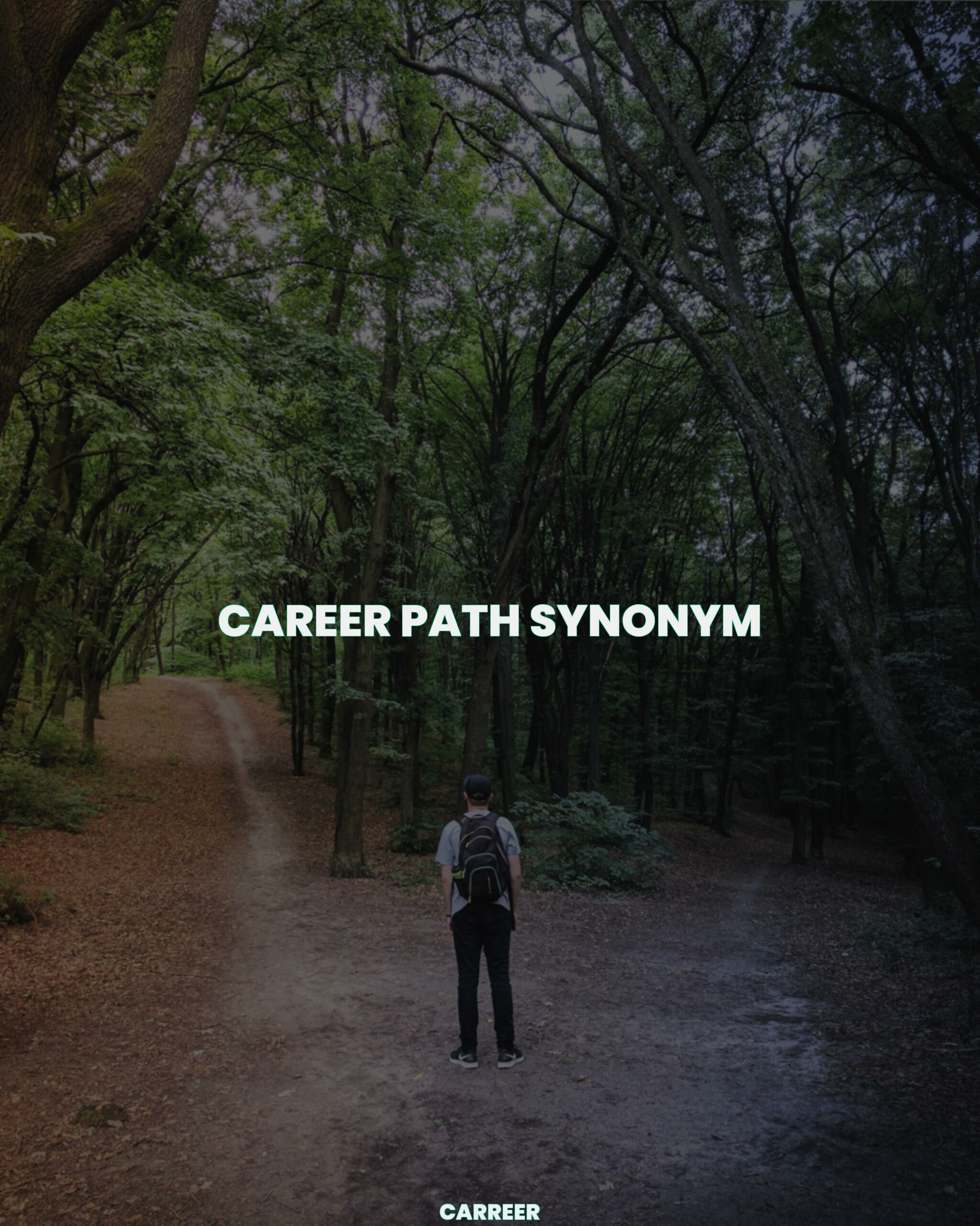 Career path synonym