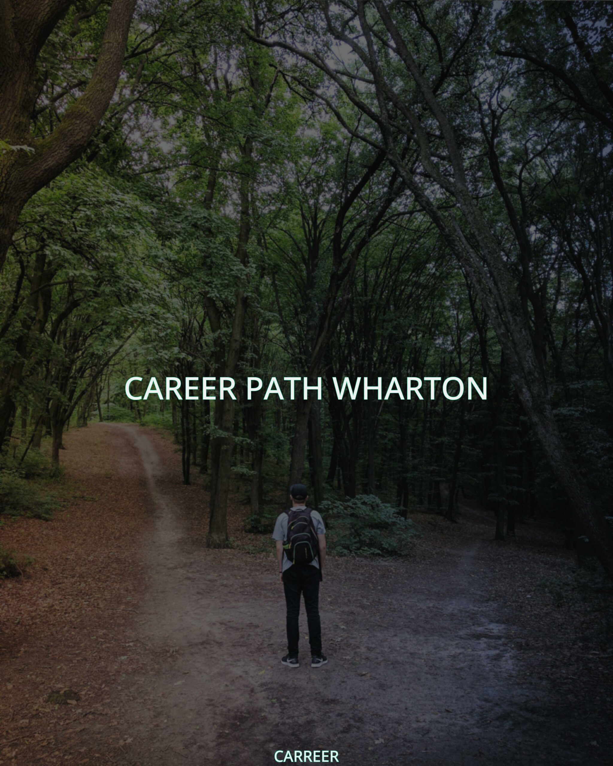 Career path wharton