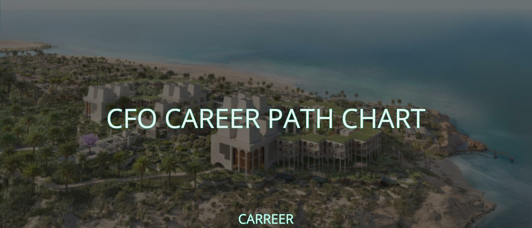 Cfo career path chart — Carreer Magazine Jobs, Career Motivation