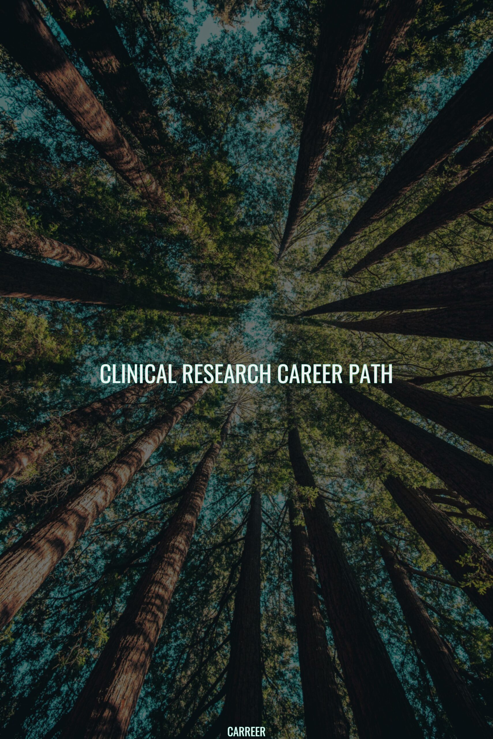 Clinical research career path