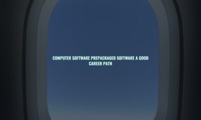 Computer software prepackaged software a good career path