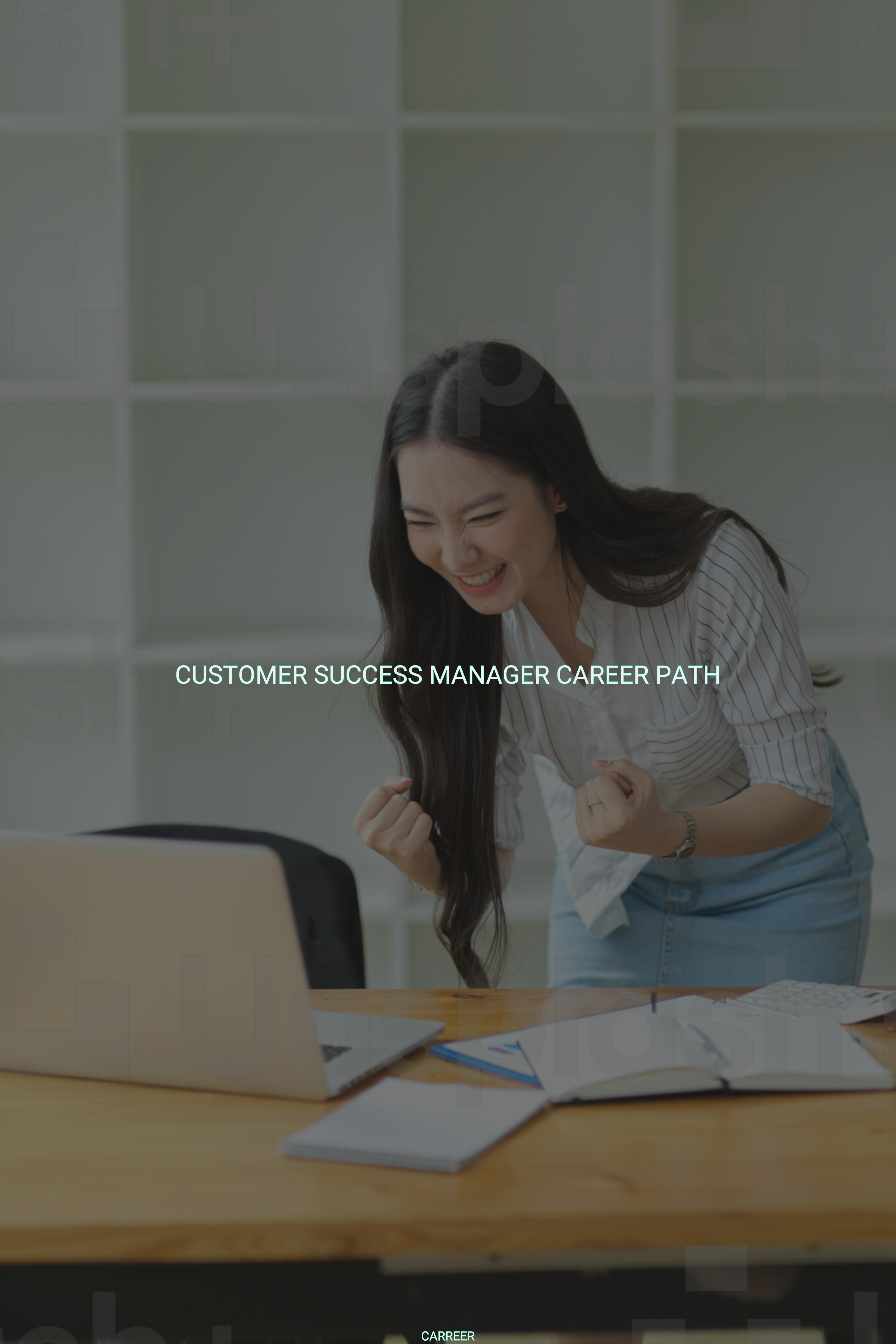 Customer success manager career path
