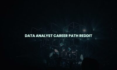 Data analyst career path reddit