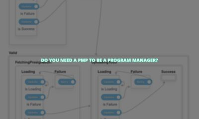 Do you need a pmp to be a program manager?