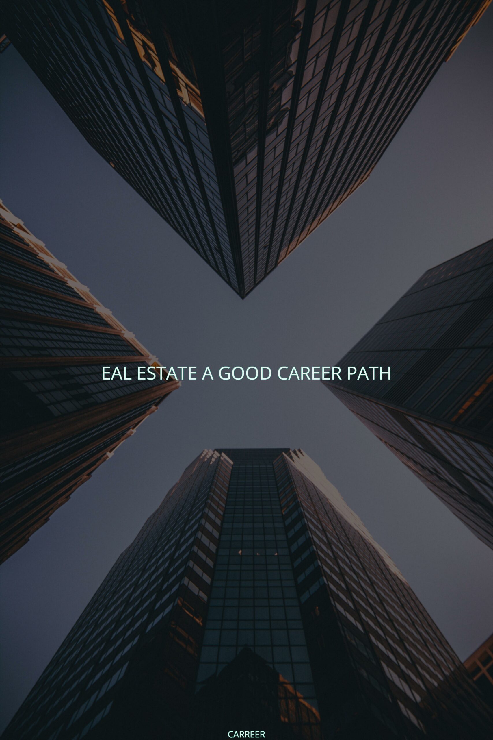 Eal estate a good career path