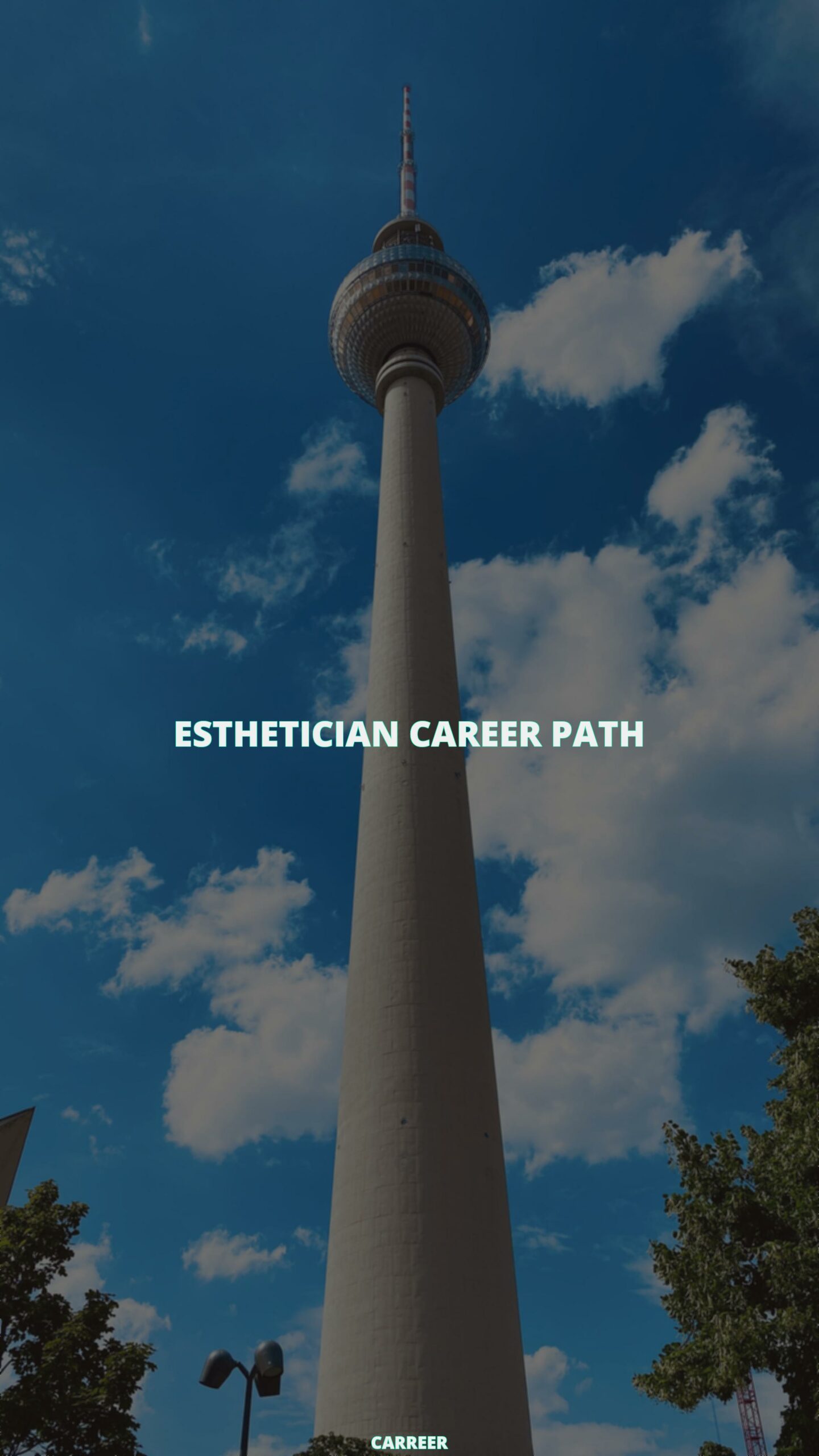 Esthetician career path