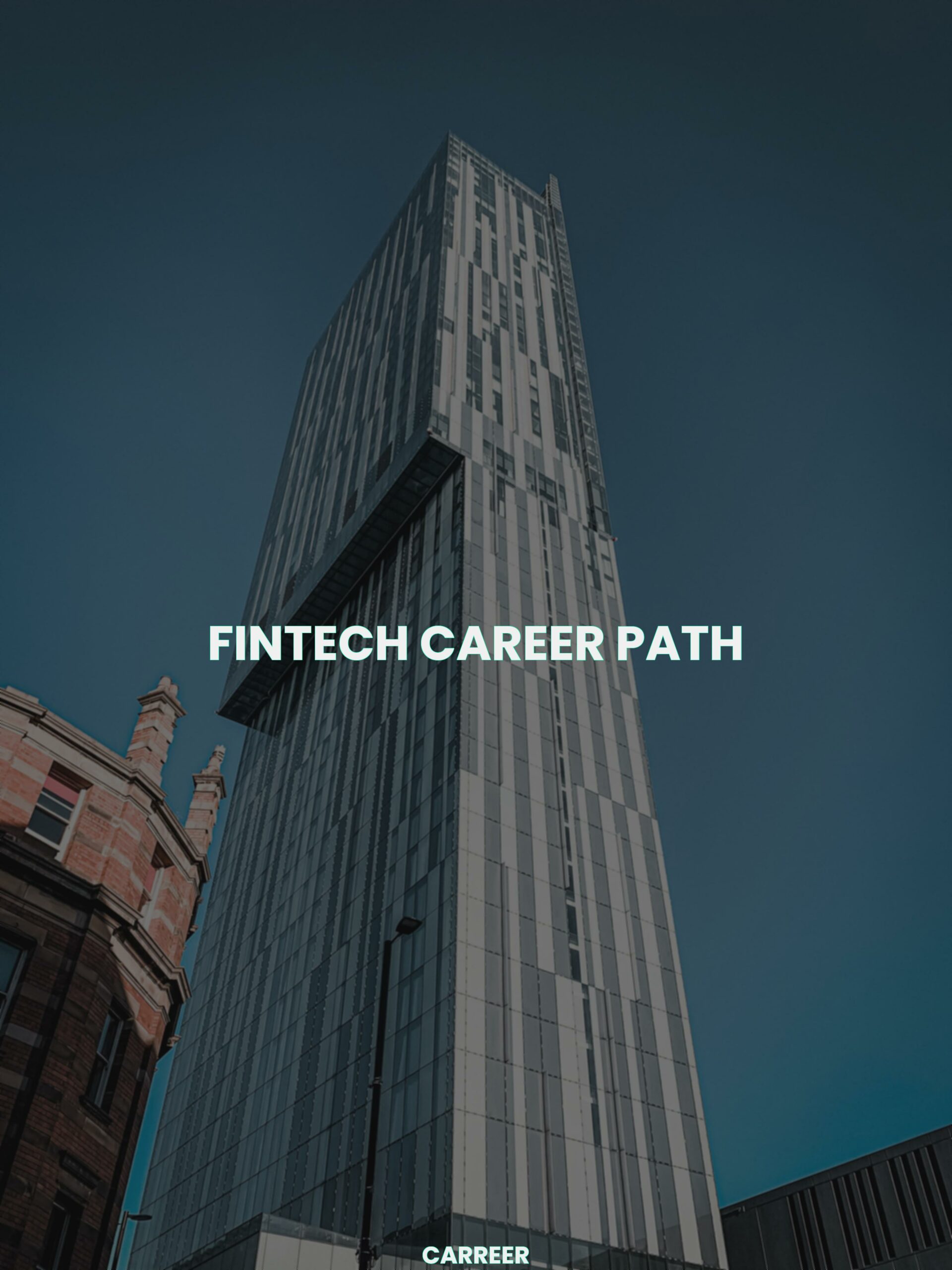 Fintech career path