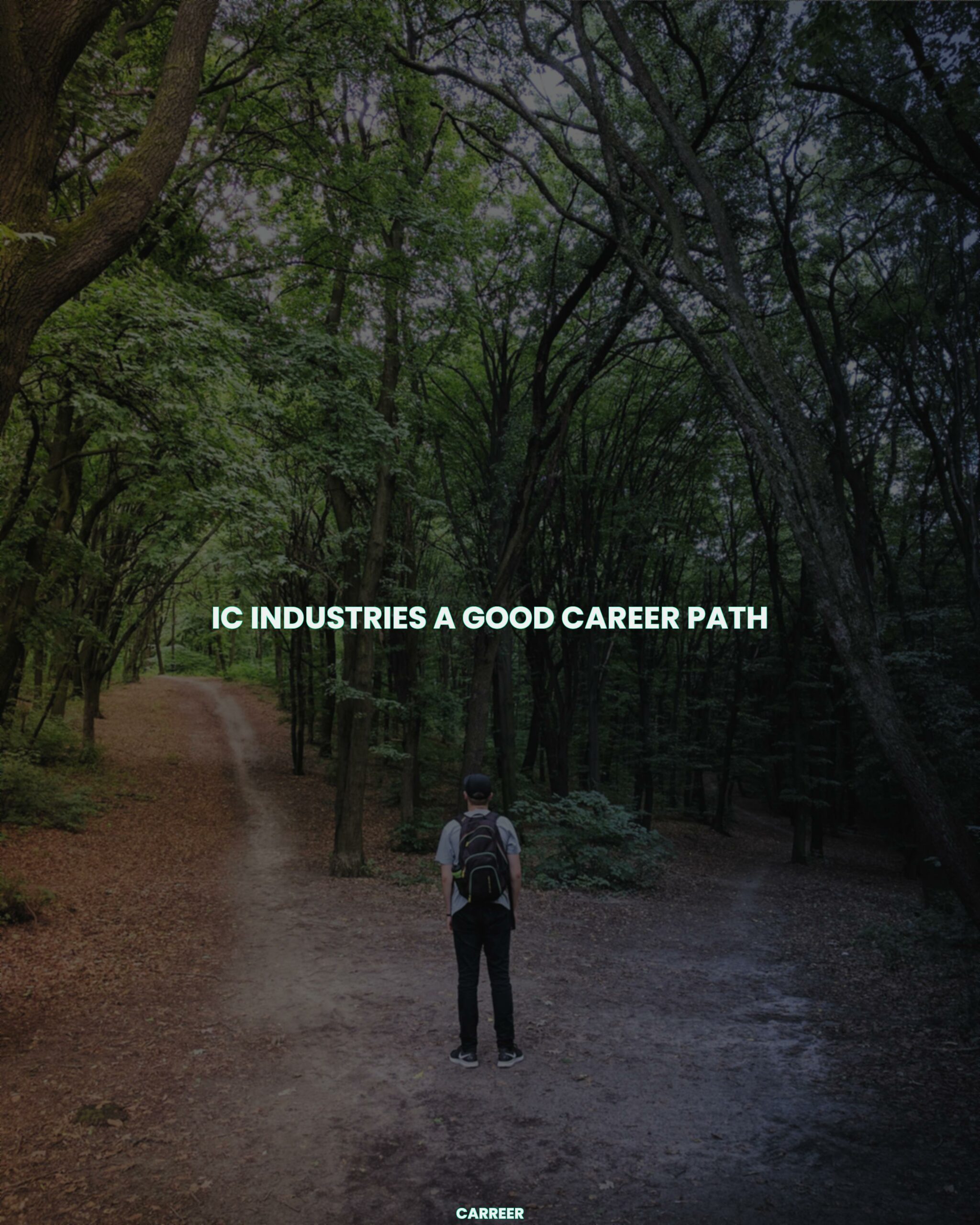 Ic industries a good career path