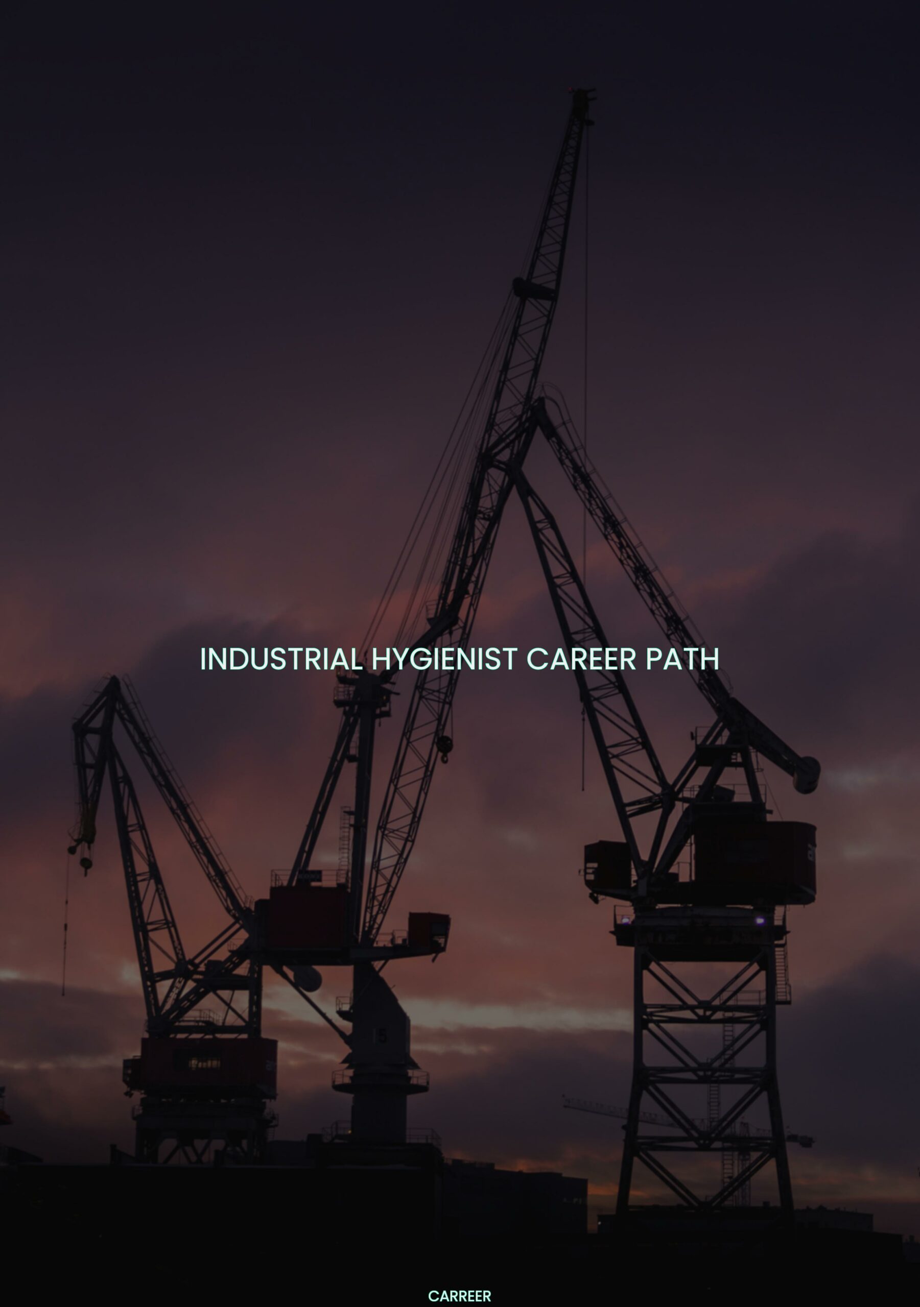 Industrial hygienist career path