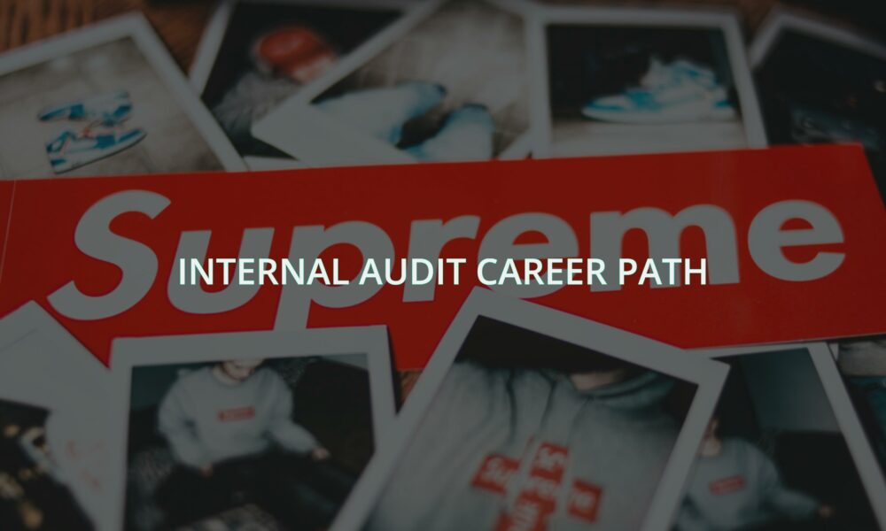 Internal audit career path