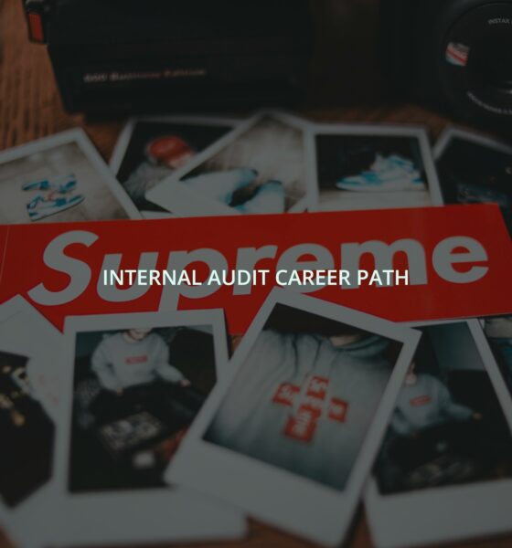 Internal audit career path