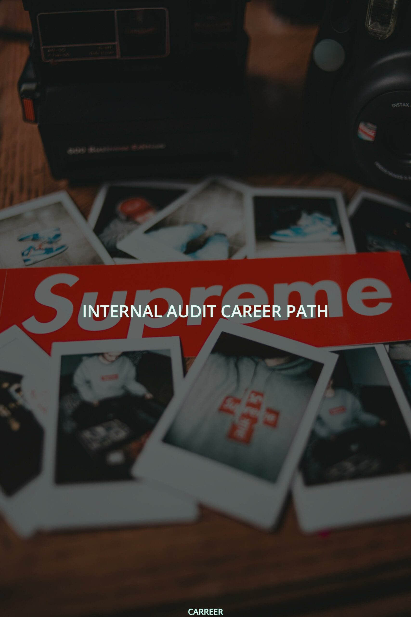 Internal audit career path
