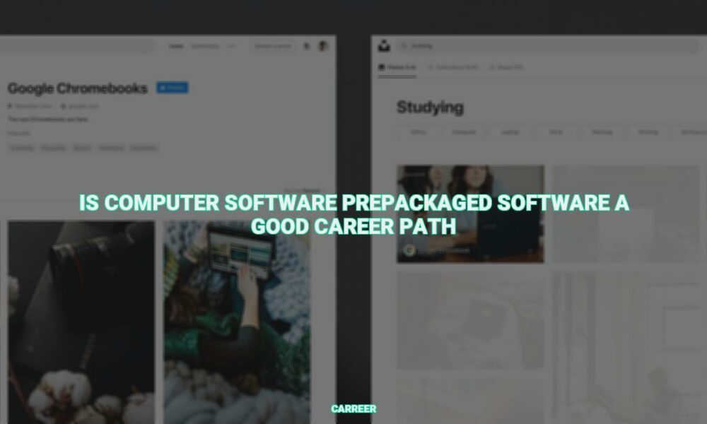 Is computer software prepackaged software a good career path