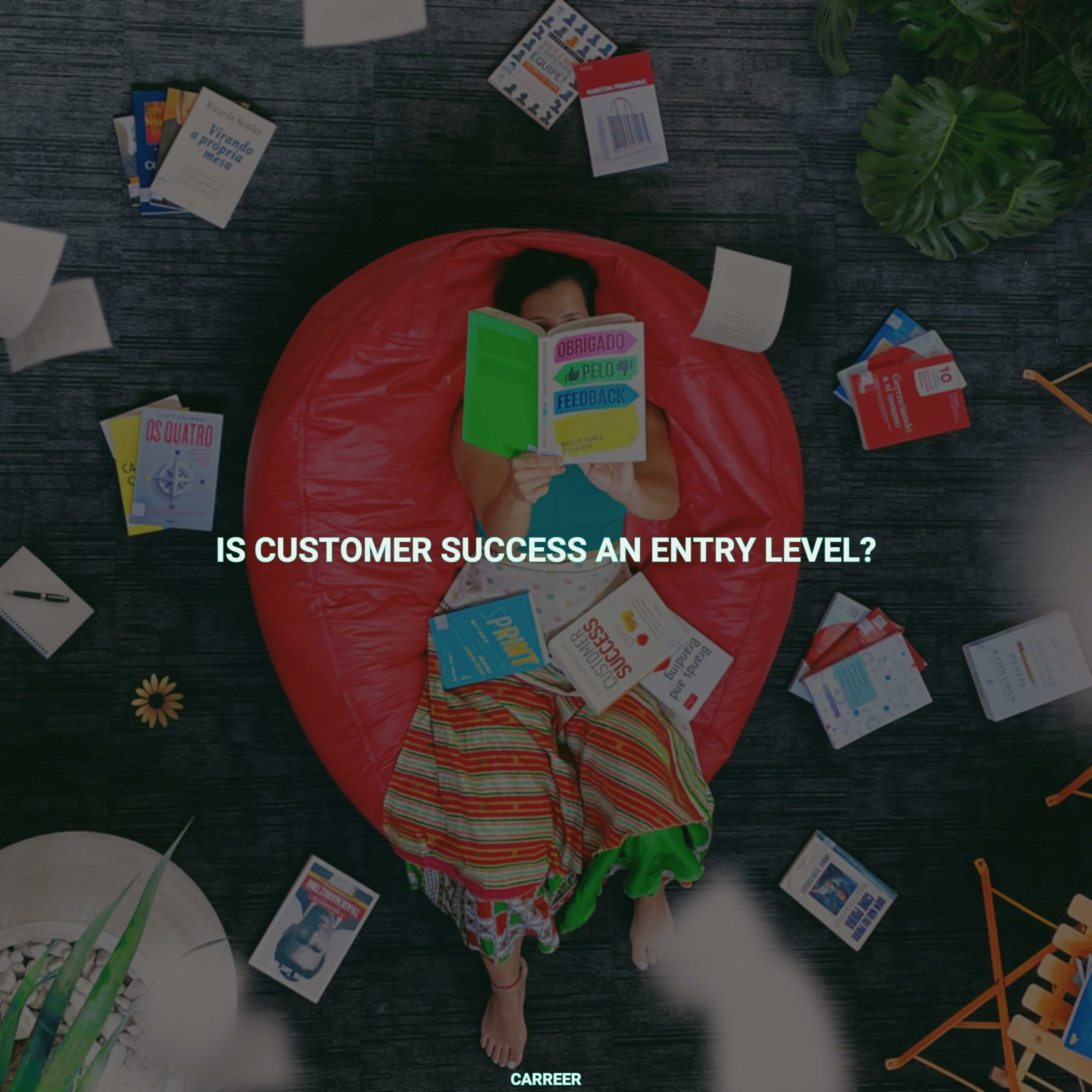 Is customer success an entry level?