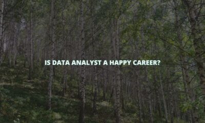 Is data analyst a happy career?