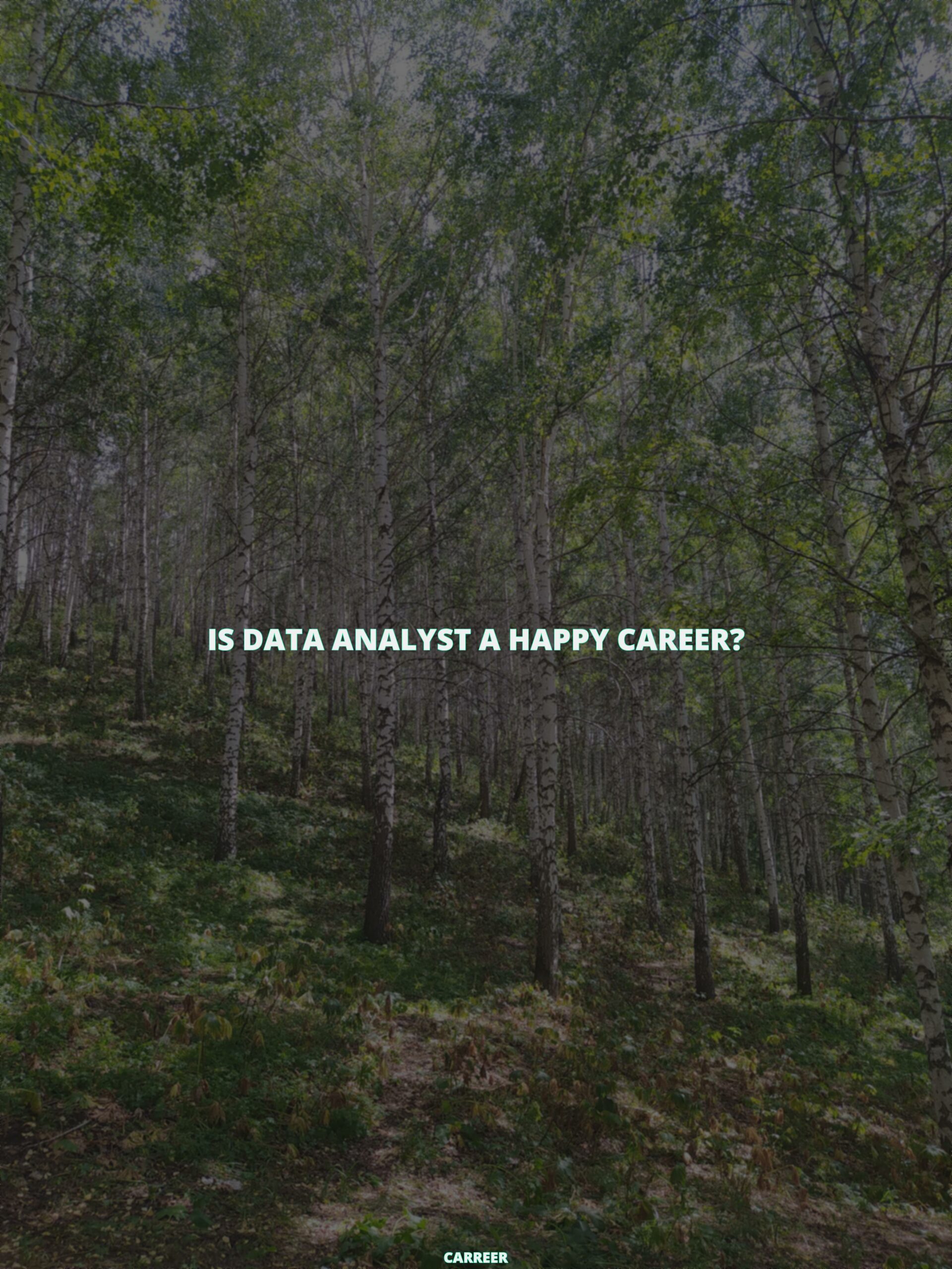 Is data analyst a happy career?