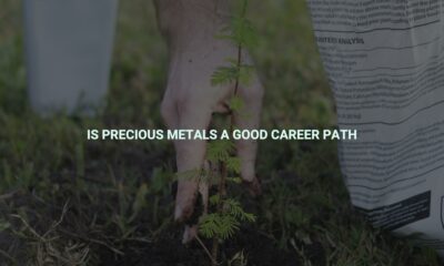 Is precious metals a good career path