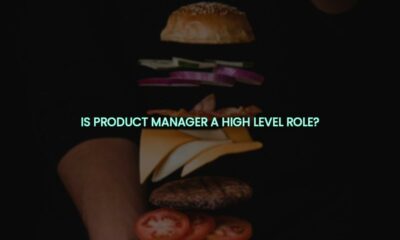 Is product manager a high level role?