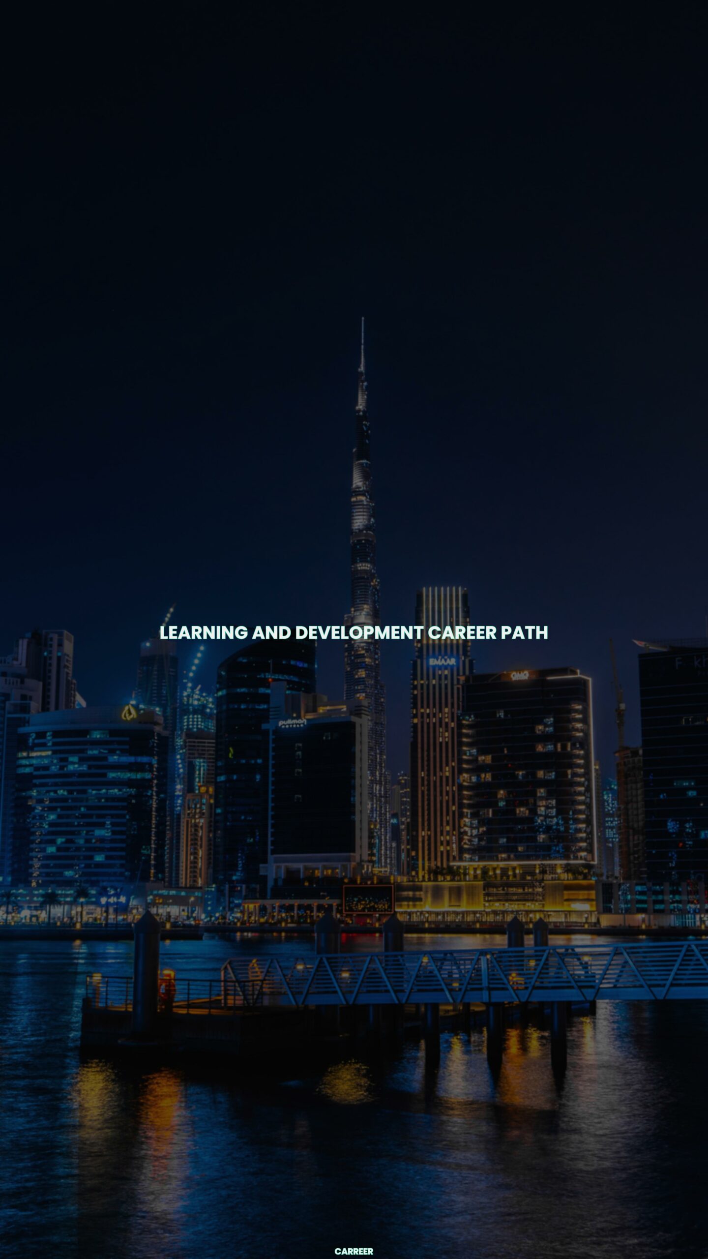 Learning and development career path