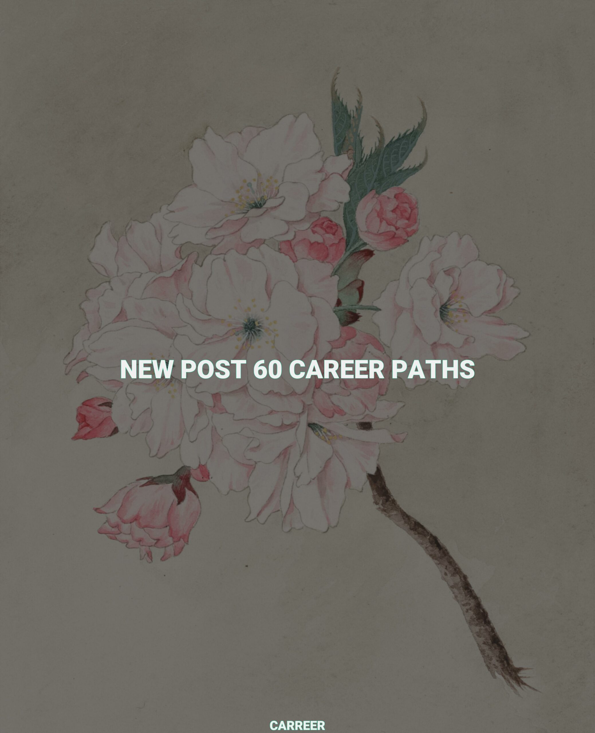 New post 60 career paths