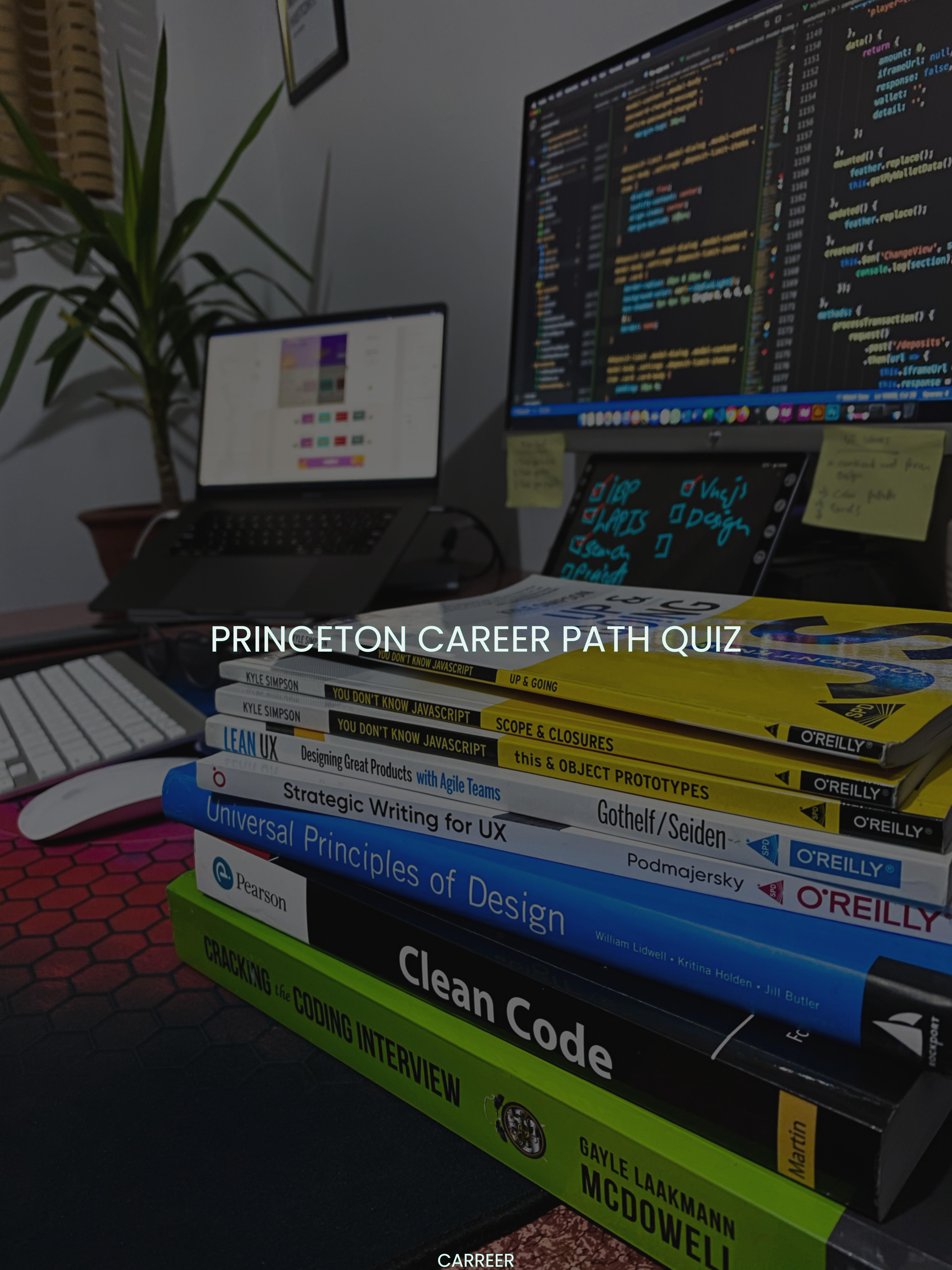 Princeton career path quiz