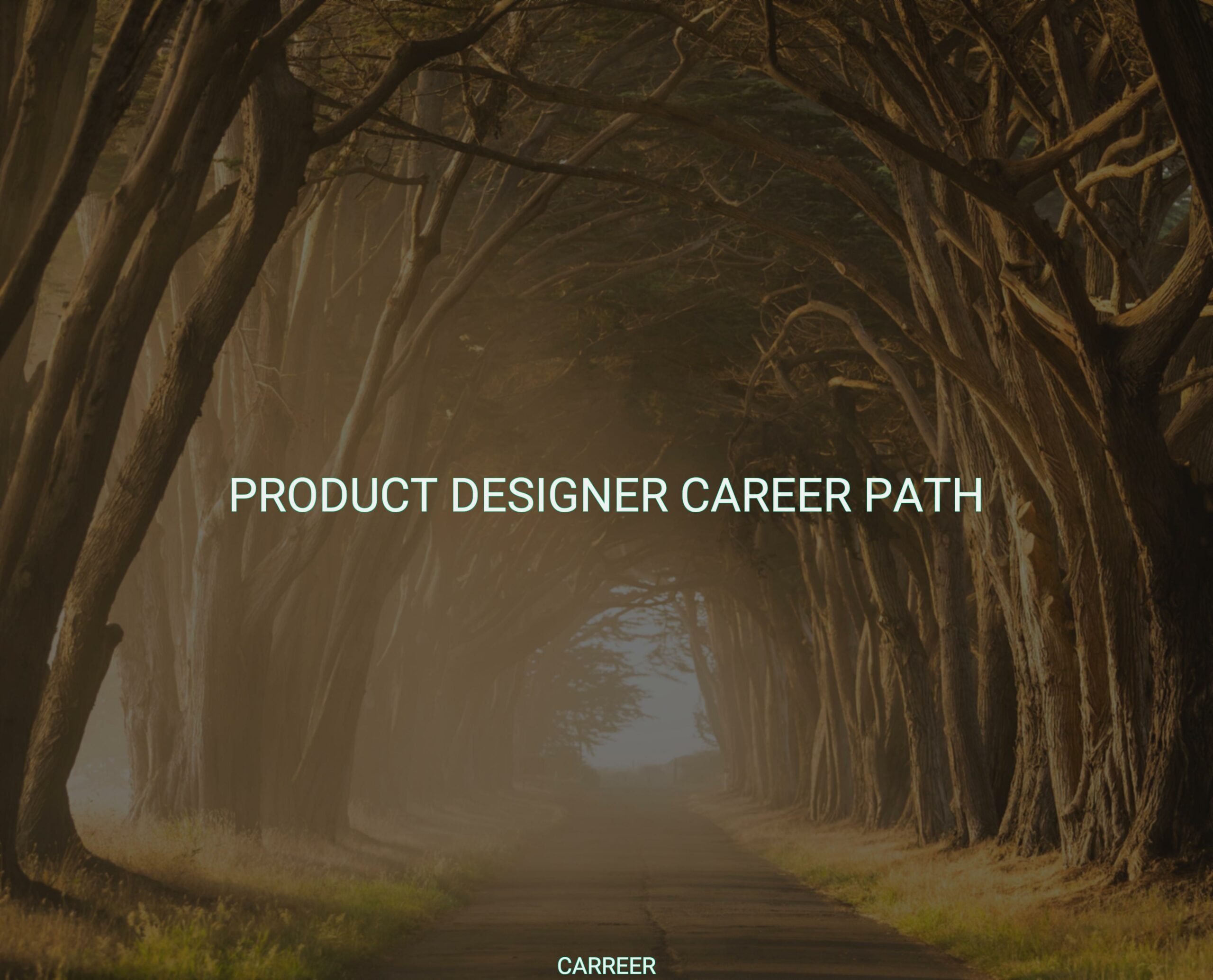 Product designer career path