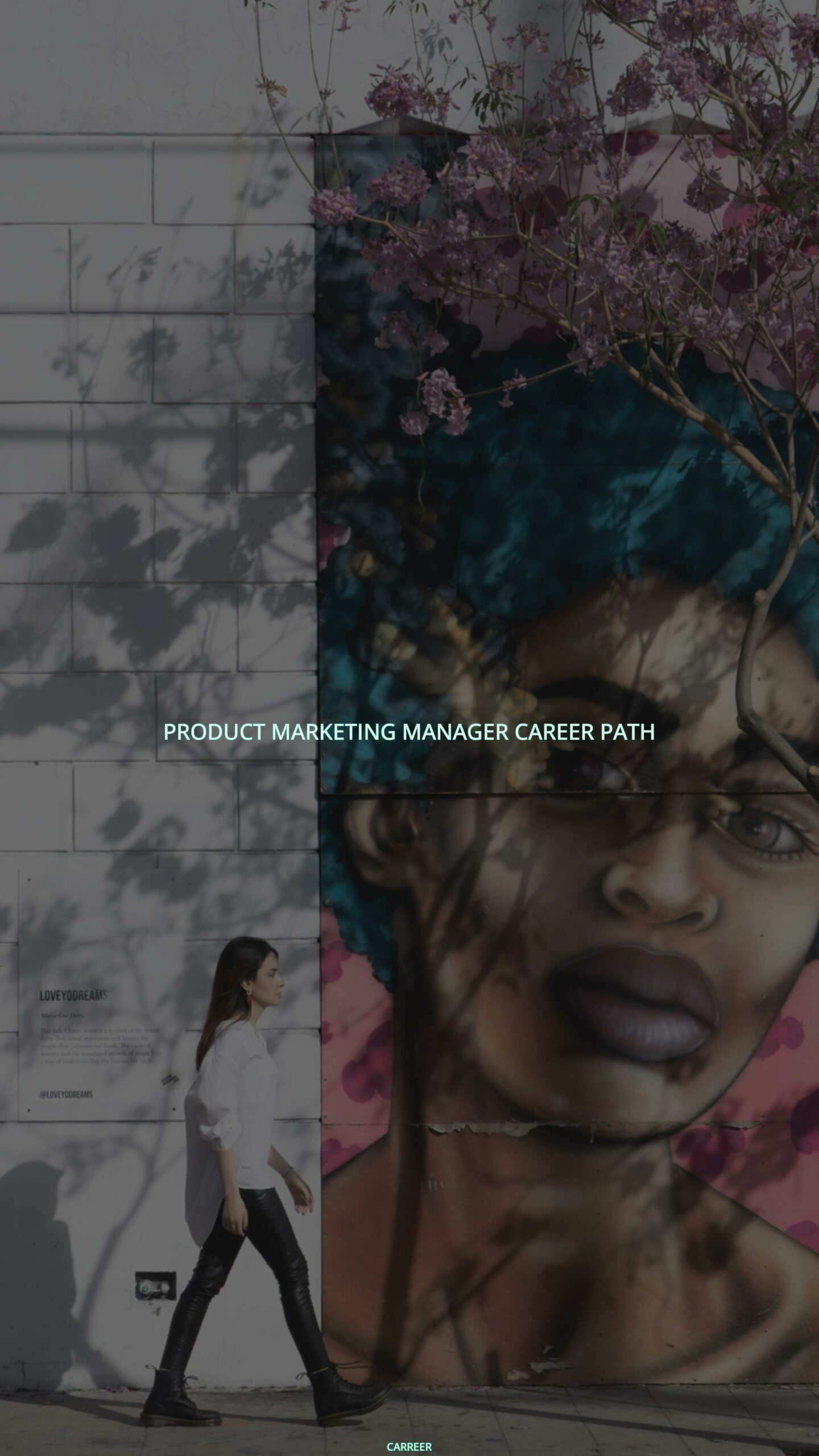 Product marketing manager career path