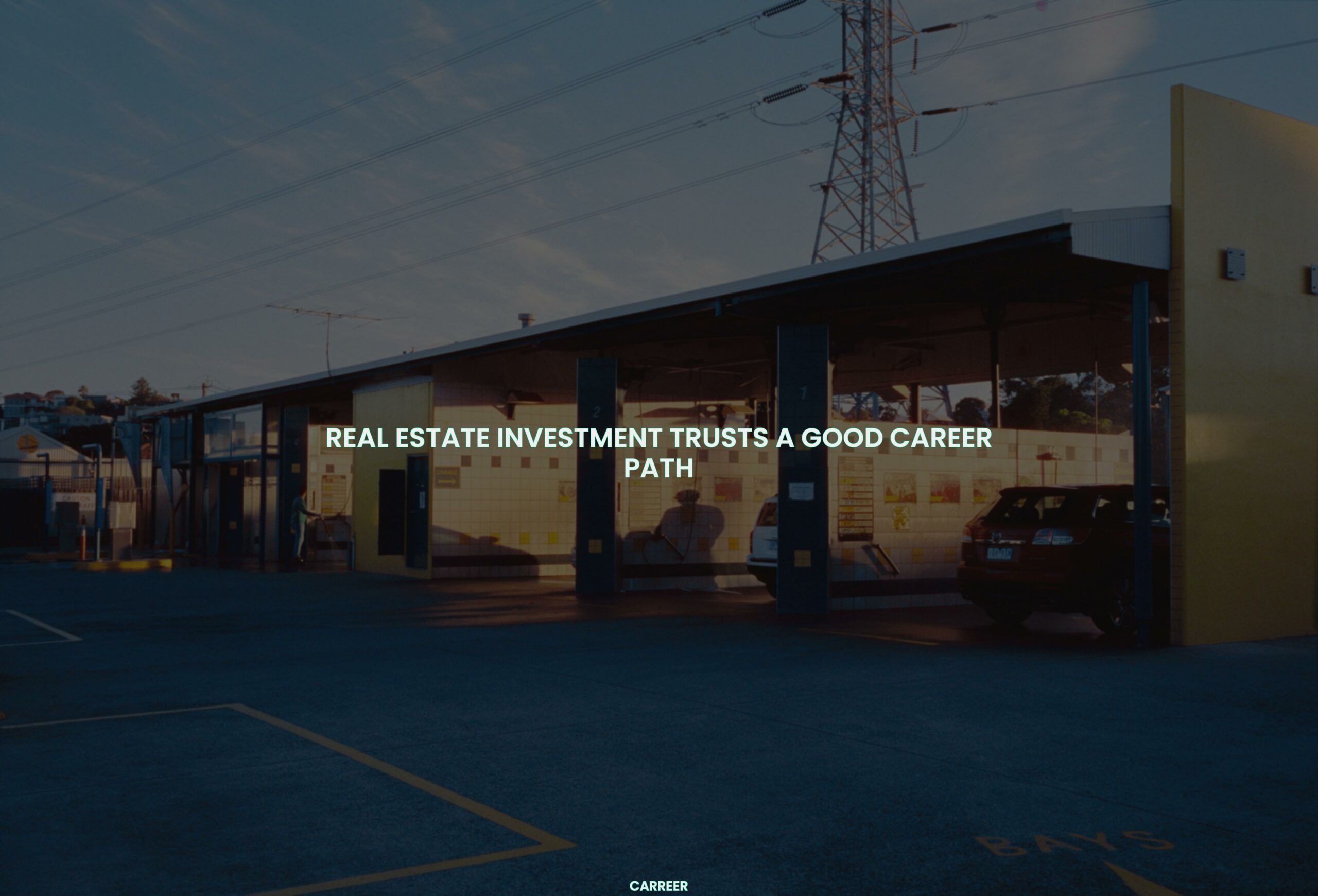 Real estate investment trusts a good career path