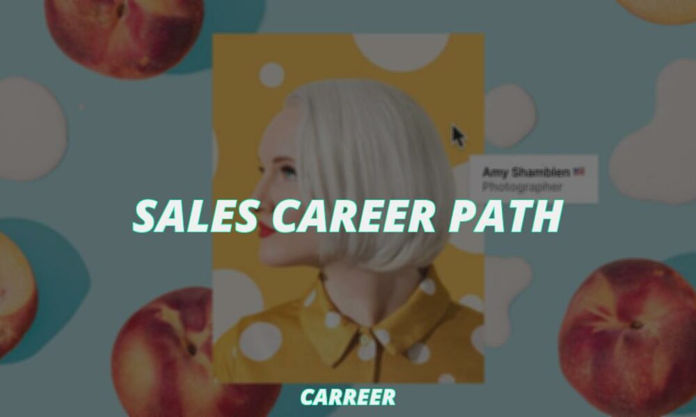 Sales career path