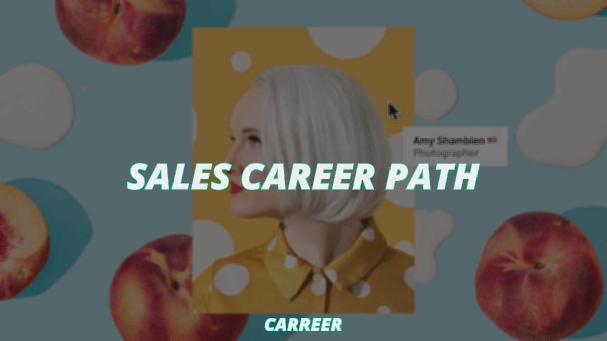 Sales career path