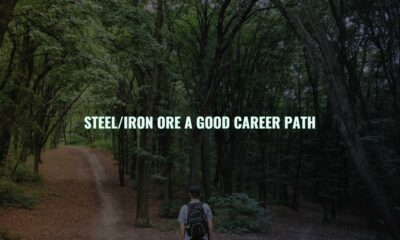 Steel/iron ore a good career path