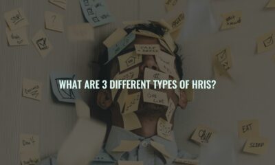 What are 3 different types of hris?