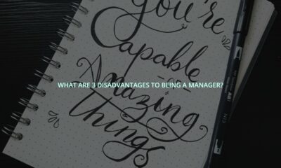 What are 3 disadvantages to being a manager?