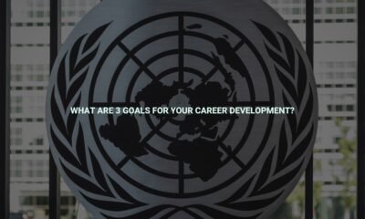 What are 3 goals for your career development?