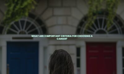 What are 3 important criteria for choosing a career?