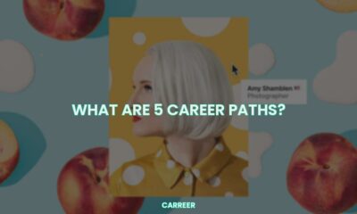 What are 5 career paths?