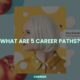 What are 5 career paths?