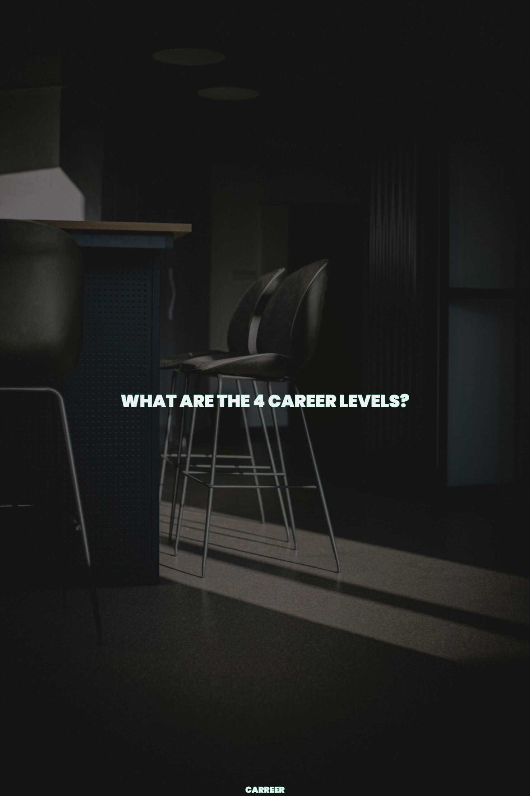 What are the 4 career levels?