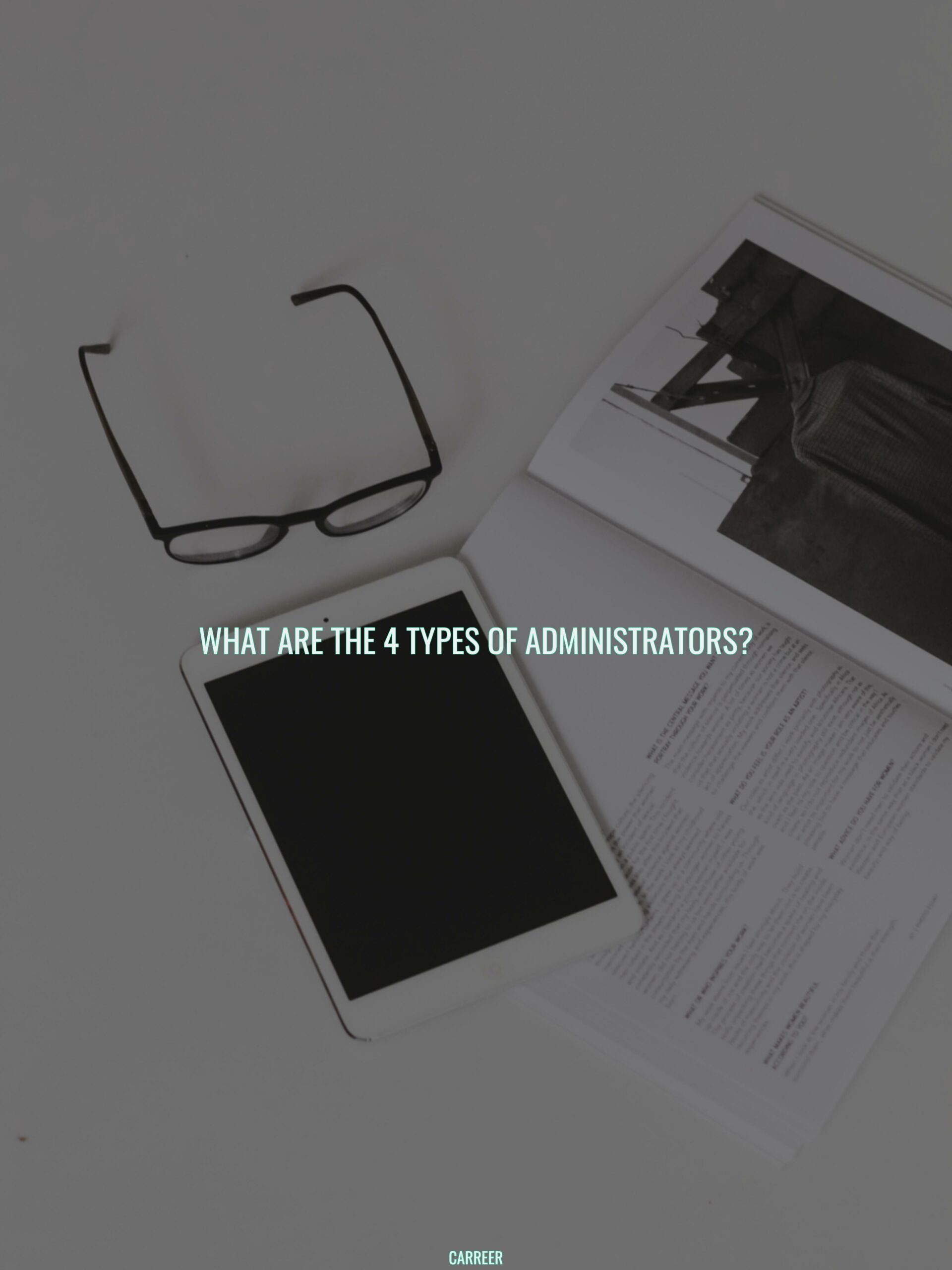 What are the 4 types of administrators?