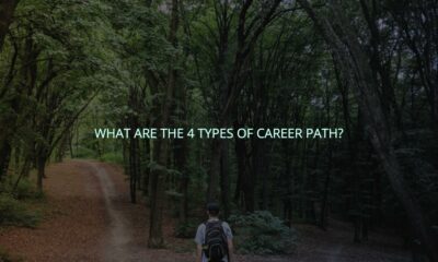 What are the 4 types of career path?