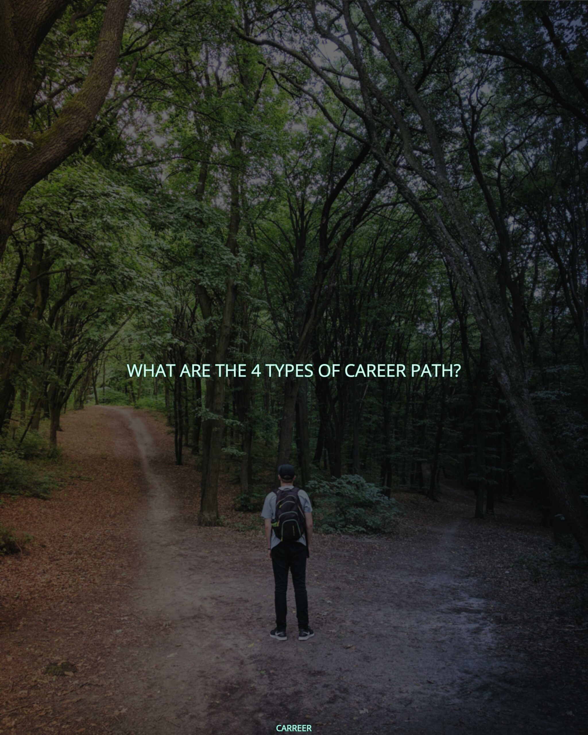 What are the 4 types of career path?